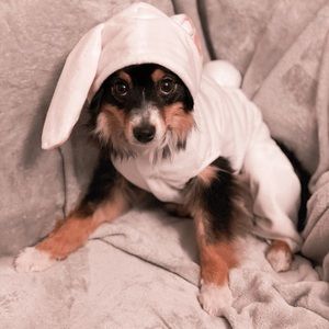 Meet your Posher, Desiree